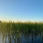 üügumetsa Treehouse Kallaste (Saaremaa)
