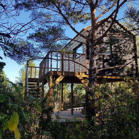 Дом отдыха Ueuegumetsa Treehouse Kallaste (Saaremaa)