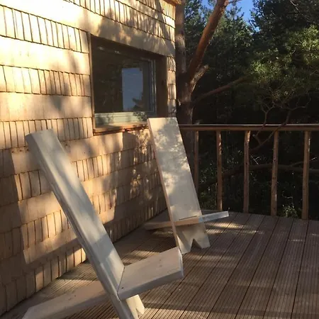 Ueuegumetsa Treehouse