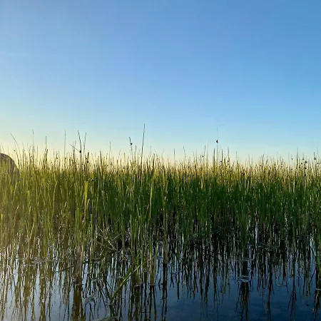 Ueuegumetsa Treehouse Kallaste (Saaremaa)