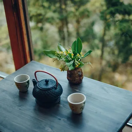 Ueuegumetsa Treehouse * Kallaste (Saaremaa)