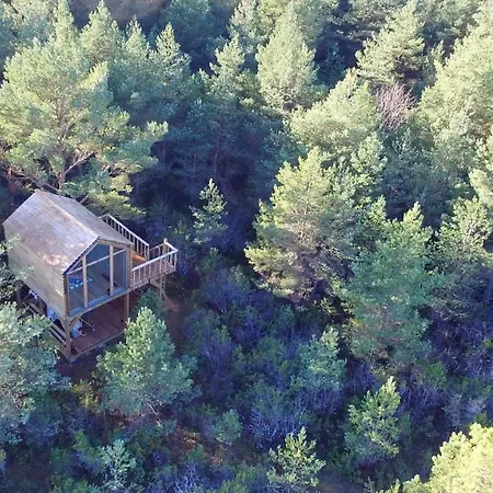 Ueuegumetsa Treehouse *