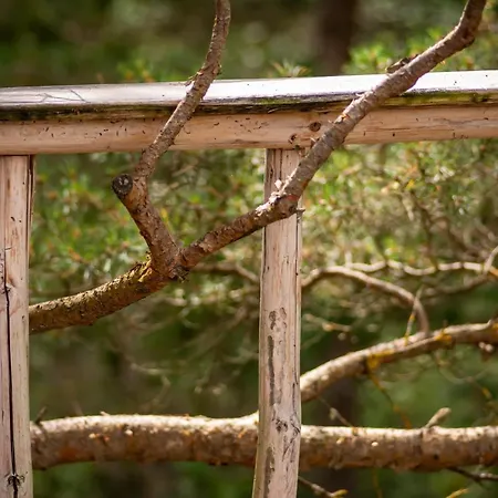 üügumetsa Treehouse Сasa de vacaciones *