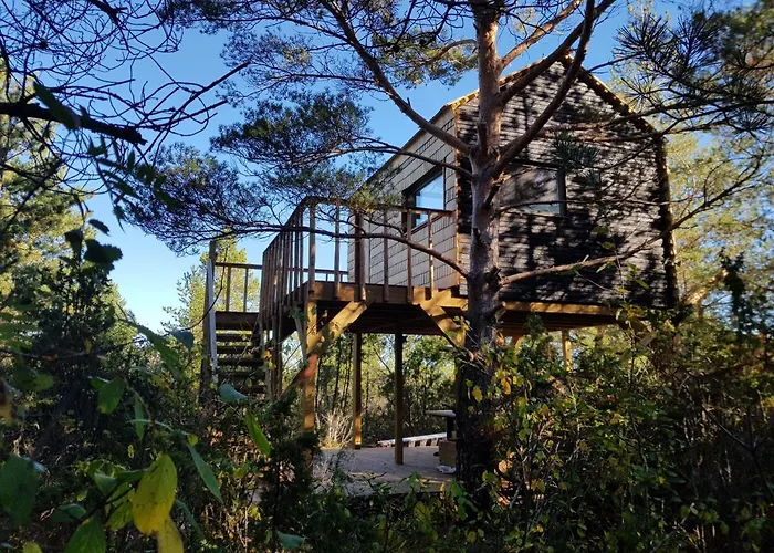 Casa vacanze Ueuegumetsa Treehouse Kallaste (Saaremaa)
