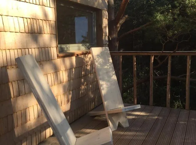 Ueuegumetsa Treehouse