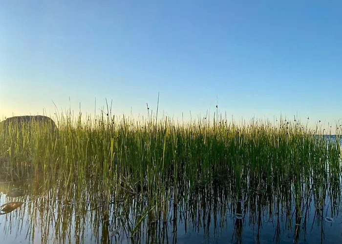 Ueuegumetsa Treehouse Kallaste (Saaremaa)