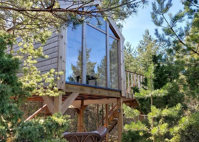 Ueuegumetsa Treehouse