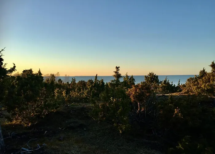 Ueuegumetsa Treehouse Casa vacanze *