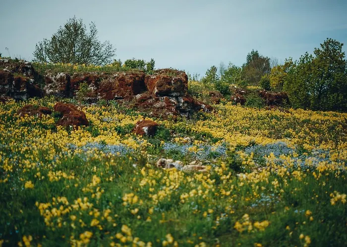 Ueuegumetsa Treehouse
