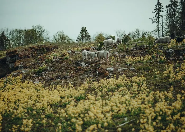Ueuegumetsa Treehouse Casa vacanze Kallaste (Saaremaa)