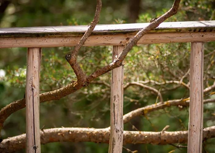 Ueuegumetsa Treehouse Casa vacanze *